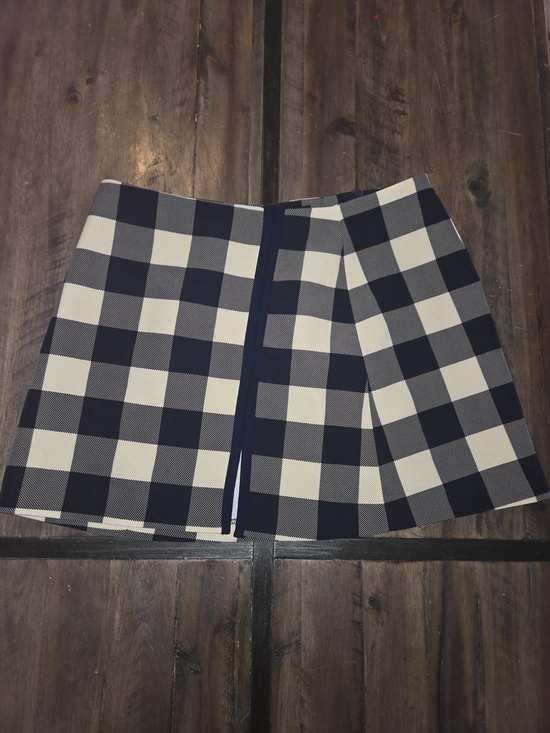 Zara Dresses & Skirts - Zara Navy and White Gingham Mini Skirt